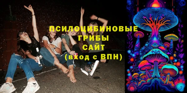 гашик Коряжма