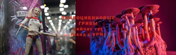 ГАЛЛЮЦИНОГЕННЫЕ ГРИБЫ Абинск