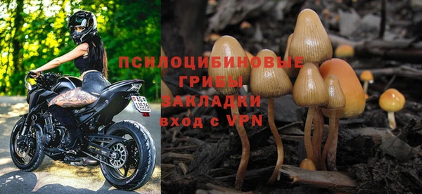 apvp Алзамай