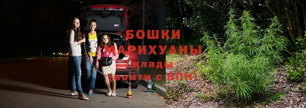 дурь Костерёво