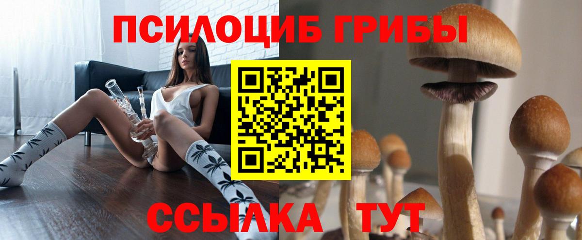 даркнет сайт  Галлюциногенные грибы Psilocybe  Вход с VPN  Урус-Мартан 