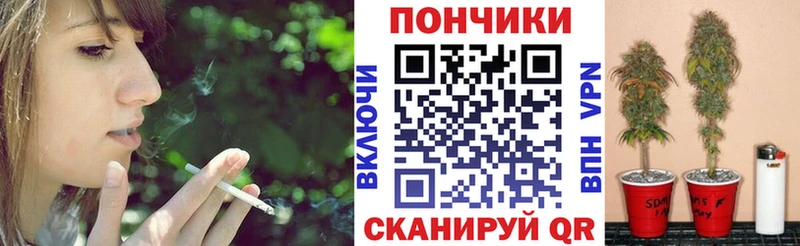 Каннабис планчик  Урус-Мартан 